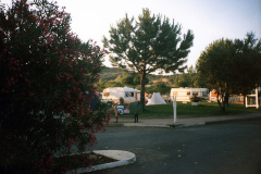 Christiane "Didi" Wirtz (Mahn)